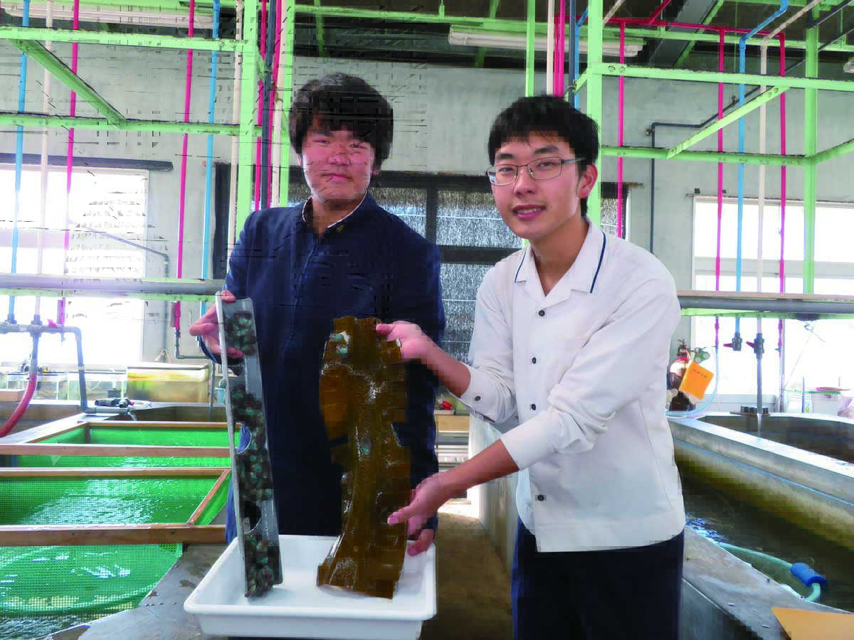 福津市の「育てる漁業」の見学会