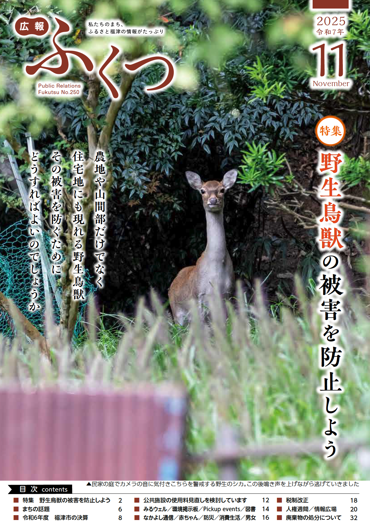 広報ふくつ』11月号を発行