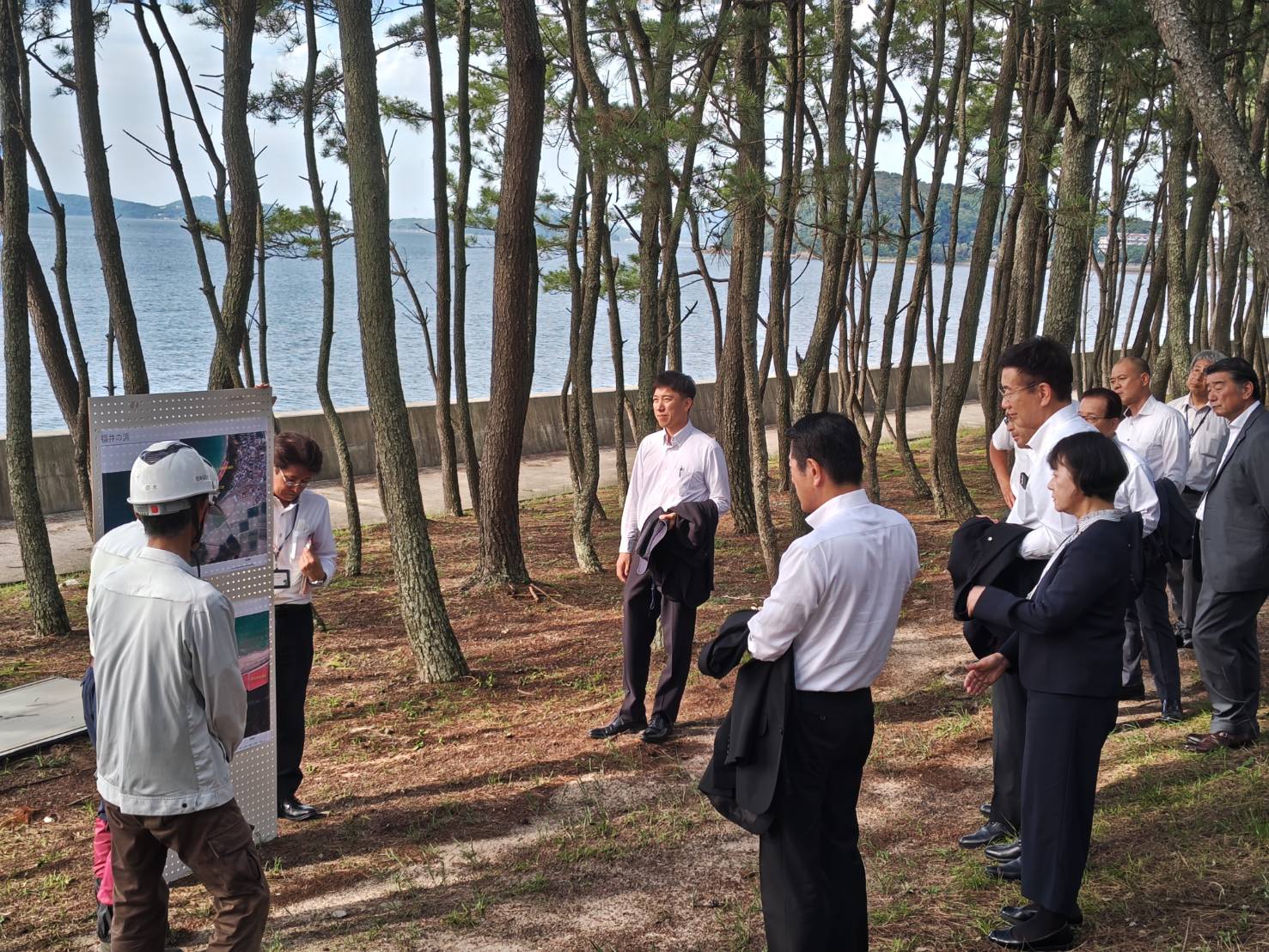 白砂青松を次の世代へ ― 糸島市での松林保全協議会