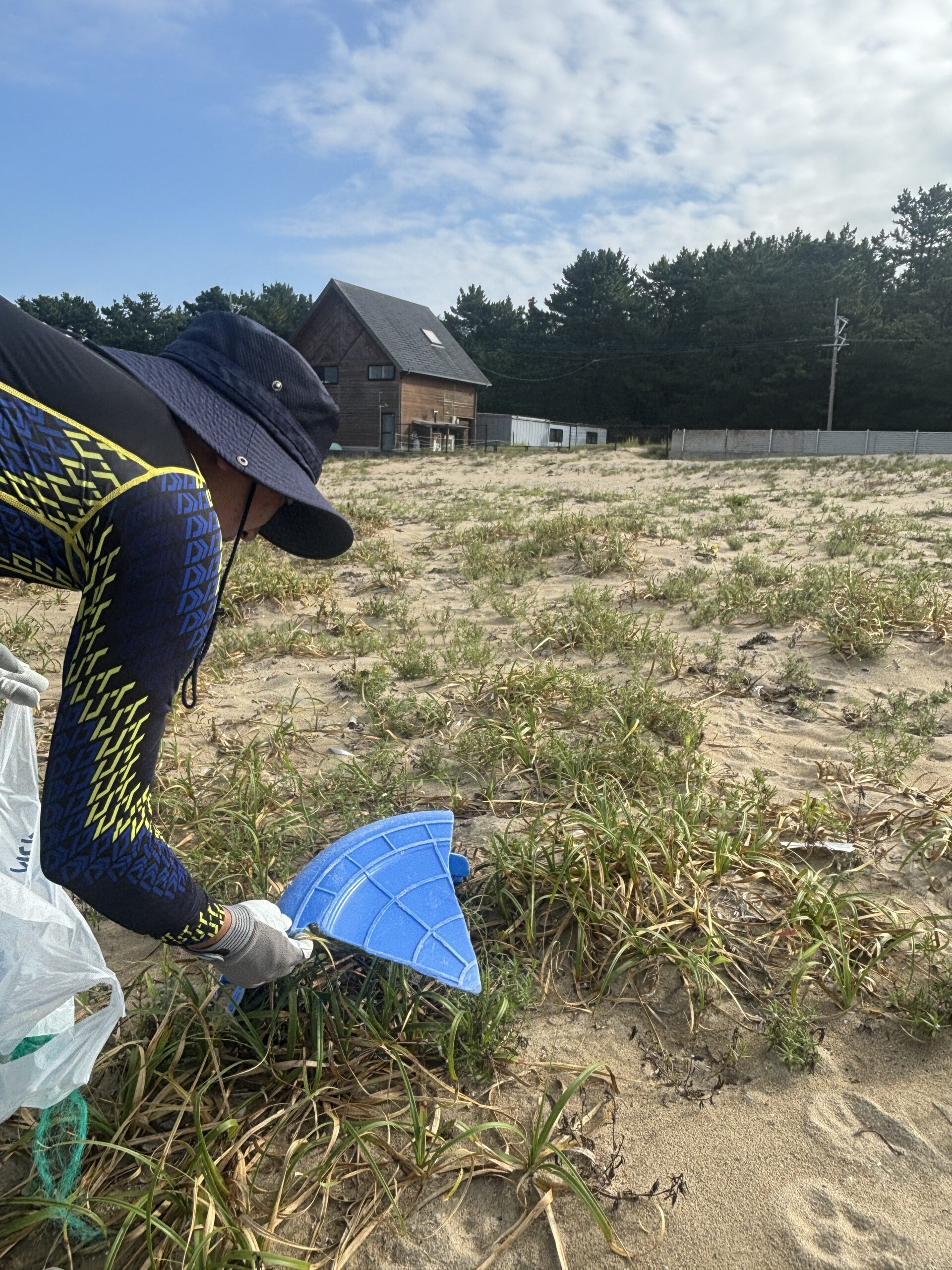 福津市の松林を抜ける風と、林野庁への道